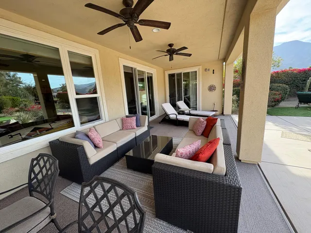 a view of a garden with a tree