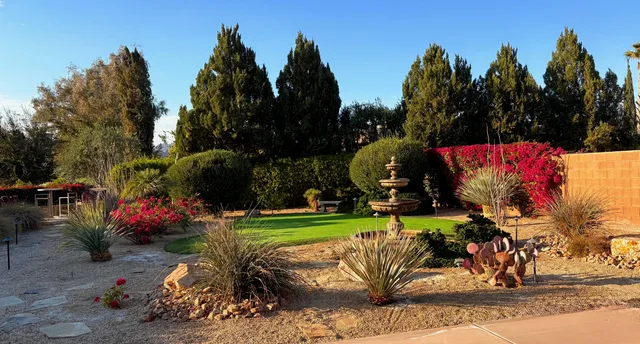 a view of a park with large trees