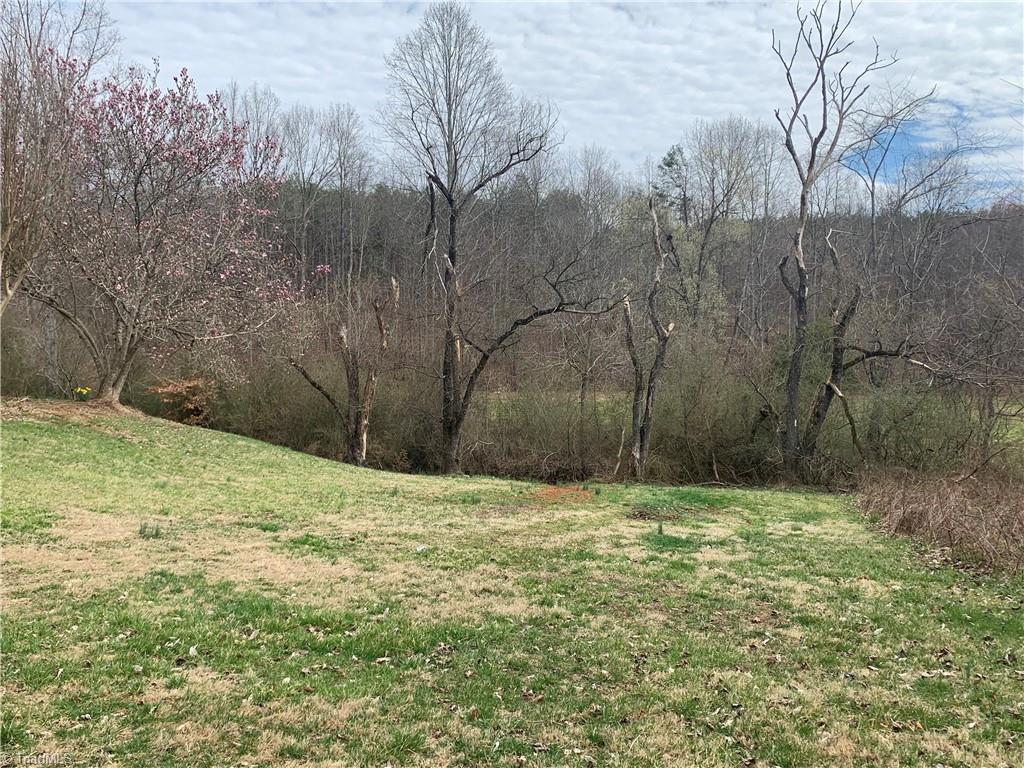 237 Buckingham Road Pinnacle, NC 27043 - Photo 42 of 48