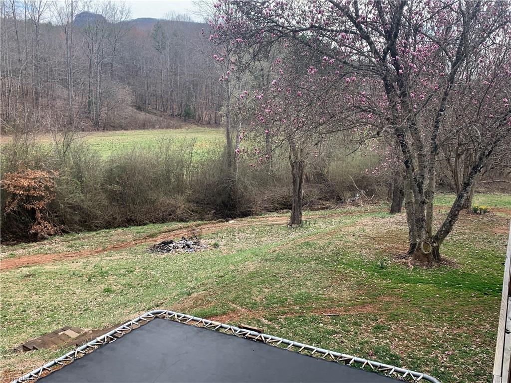 237 Buckingham Road Pinnacle, NC 27043 - Photo 43 of 48