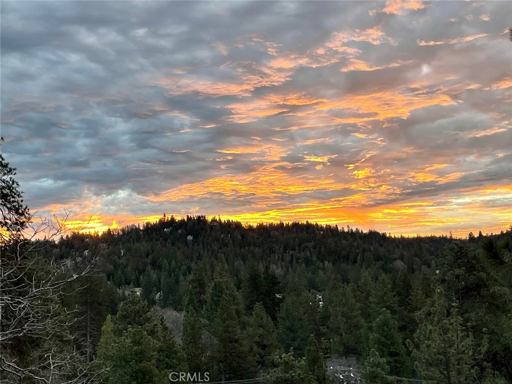 26620 Modoc Lane Lake Arrowhead, CA 92352 - Photo 6 of 14