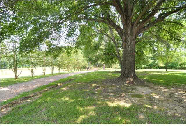 1843 Dupree Road Raymond, MS 39154 - Photo 1 of 49 Photo 1