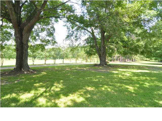 1843 Dupree Road Raymond, MS 39154 - Photo 4 of 49 Photo 4