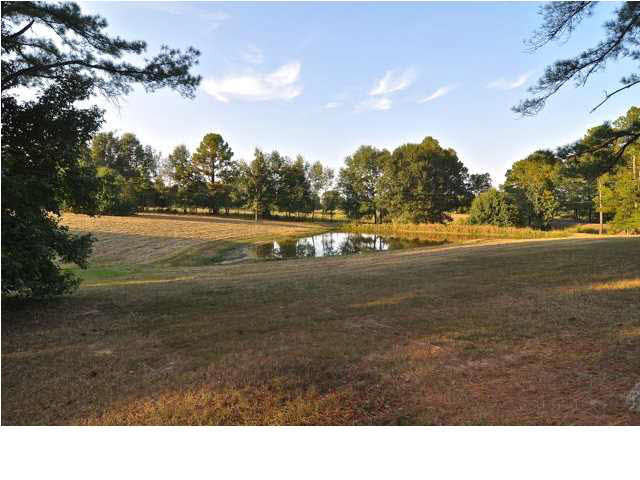 1843 Dupree Road Raymond, MS 39154 - Photo 45 of 49 Photo 45