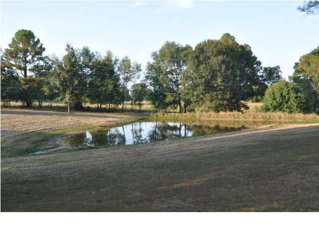 1843 Dupree Road Raymond, MS 39154 - Photo 46 of 49 Photo 46