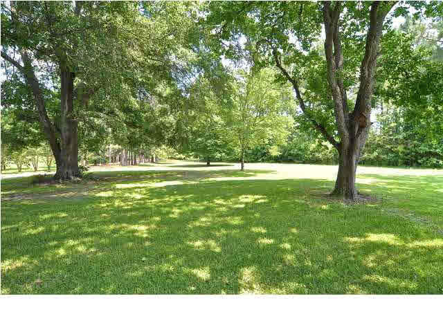 1843 Dupree Road Raymond, MS 39154 - Photo 5 of 49 Photo 5