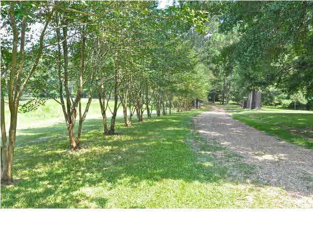 1843 Dupree Road Raymond, MS 39154 - Photo 6 of 49 Photo 6