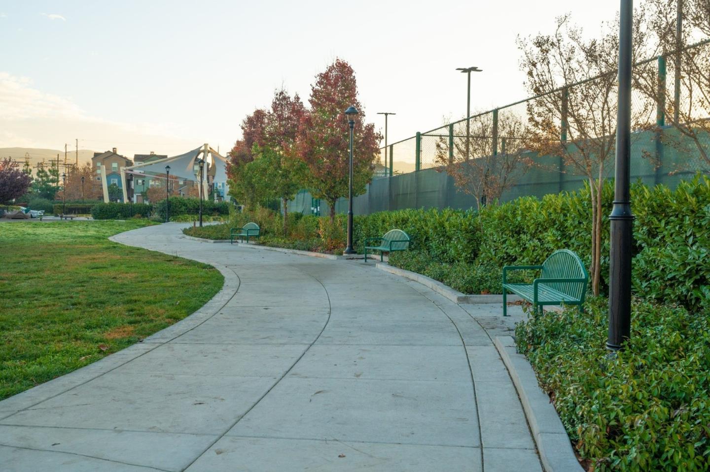 718 Amalfi Loop Milpitas, CA 95035 - Photo 35 of 37 a view of a street with a big yard and a large tree