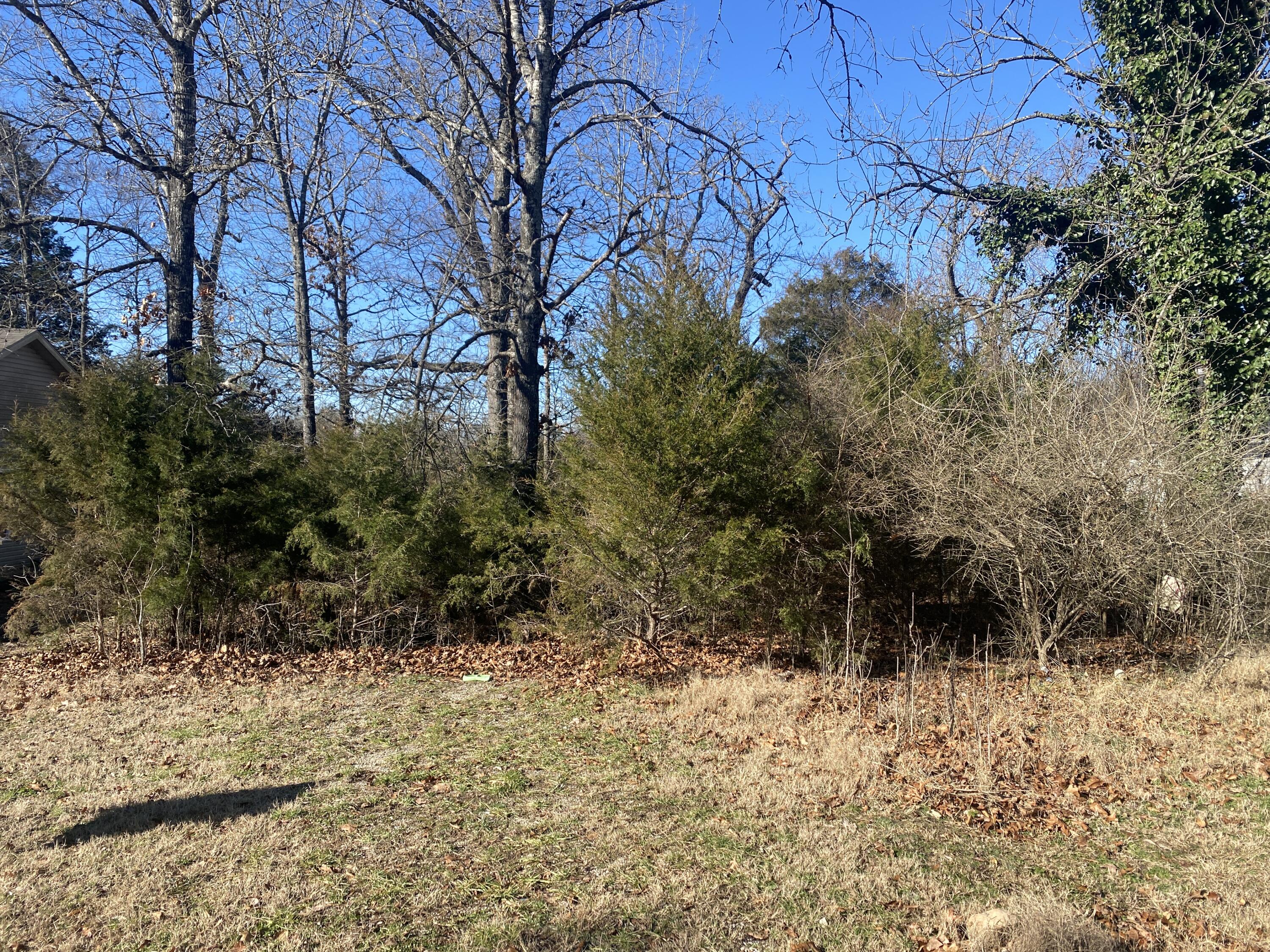 2022 Longview Road Rockaway Beach, MO 65740 - Photo 1 of 1 IMG_3999