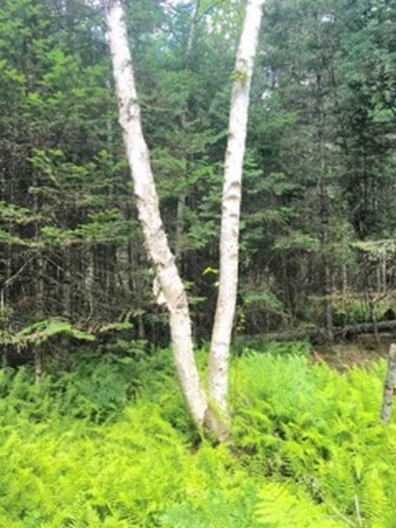9 Avenue Road Exeter, ME 04435 - Photo 19 of 22 Photo