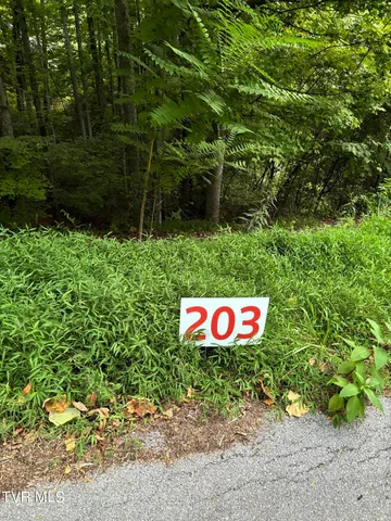 $29,900 | 203 Ox Bow Avenue, Unit 203, Unicoi, TN 37692