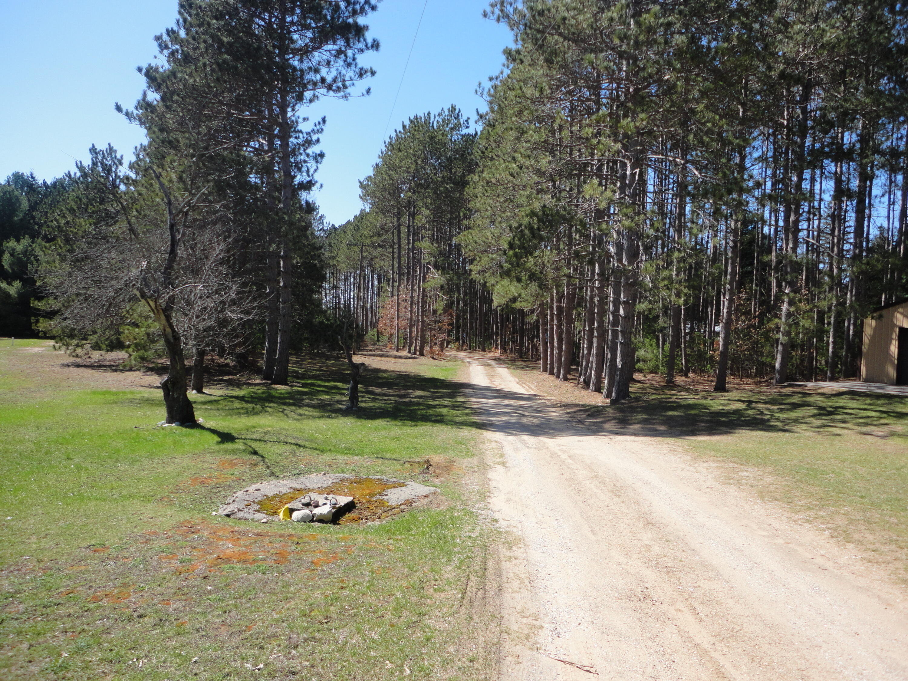 6970 Kenny Road Kaleva, MI 49645 - Photo 28 of 34 Drive way