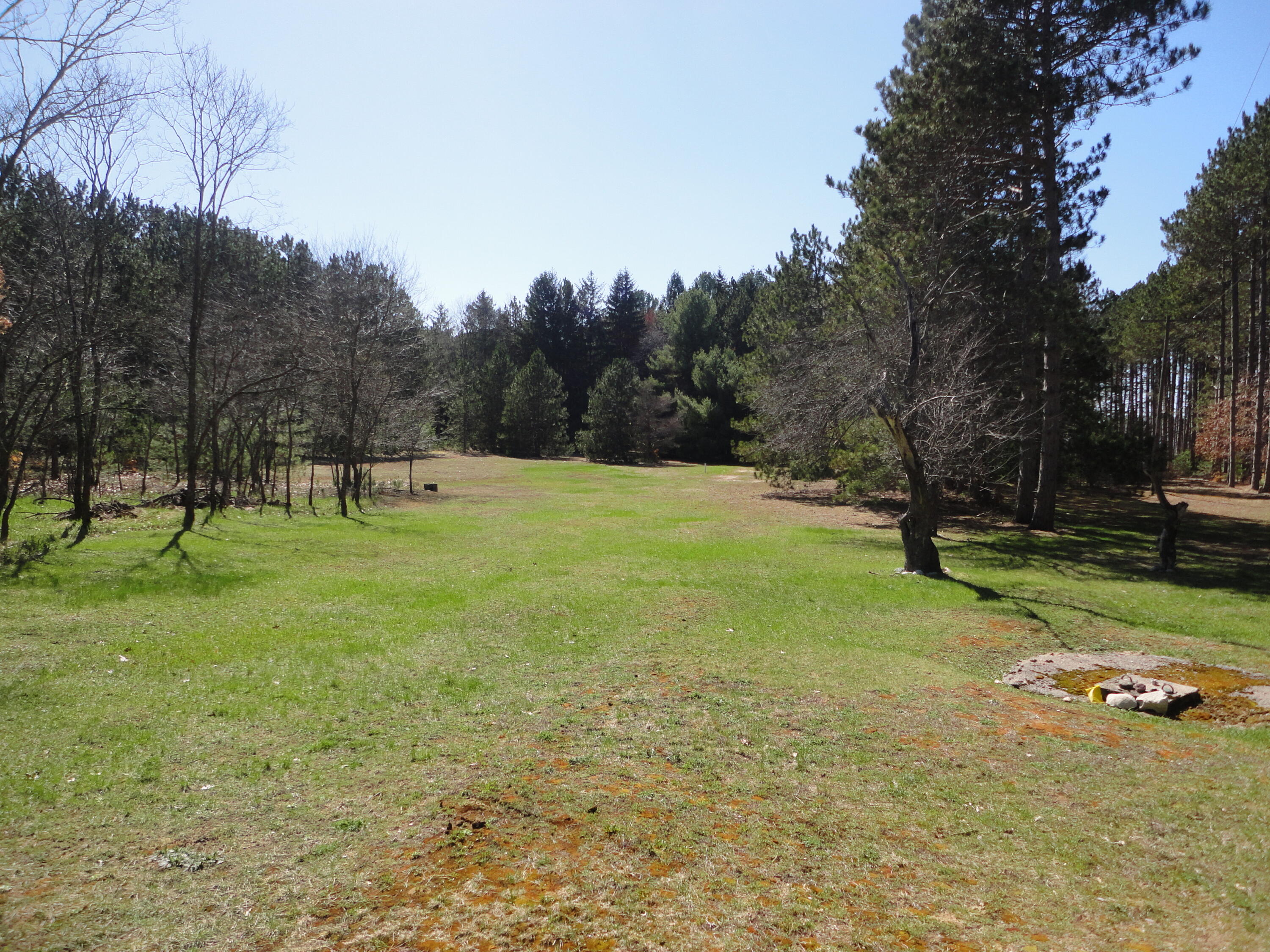 6970 Kenny Road Kaleva, MI 49645 - Photo 29 of 34 Open field