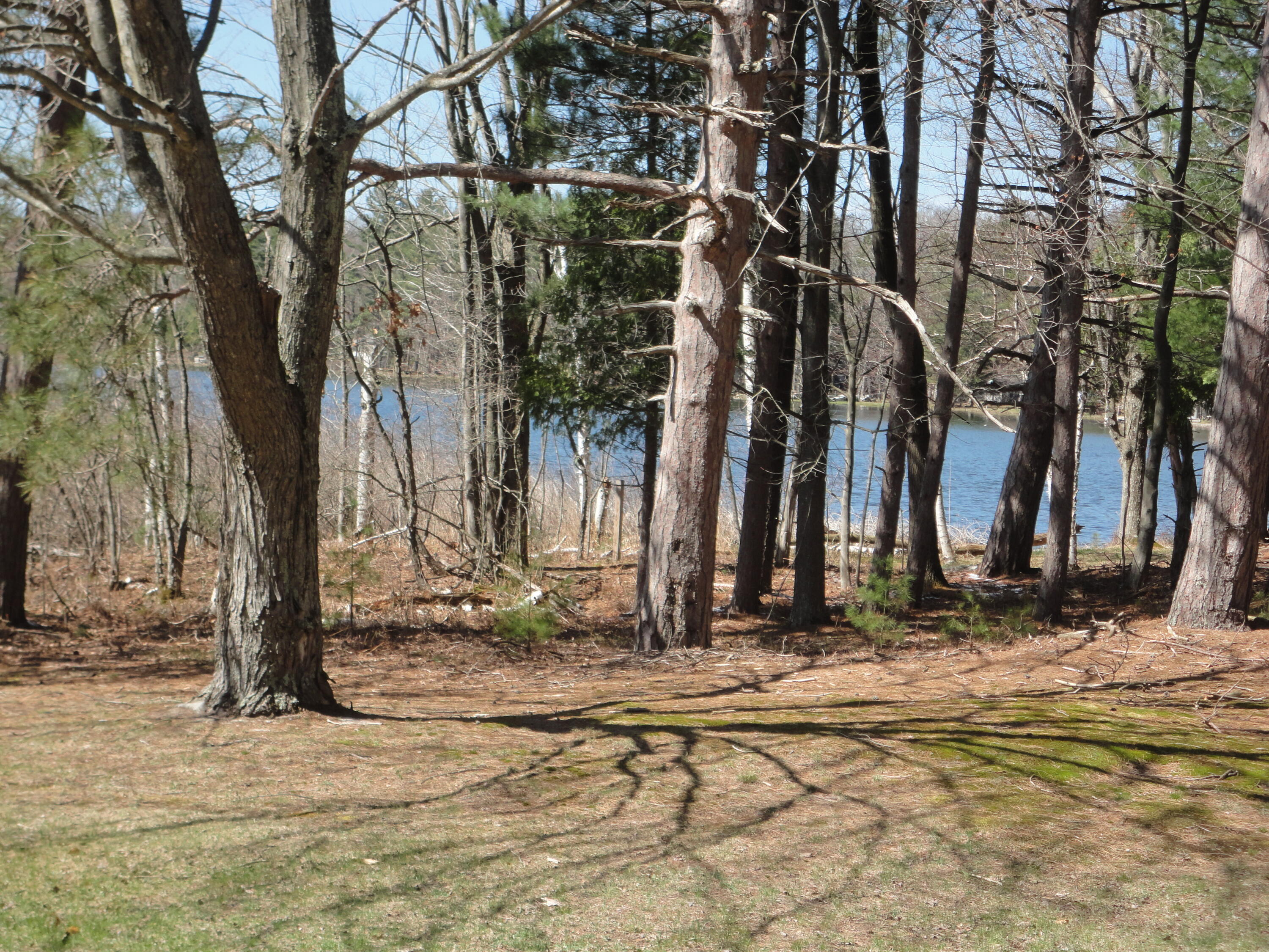 6970 Kenny Road Kaleva, MI 49645 - Photo 7 of 34 Side Yard