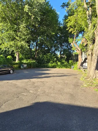 a view of a yard