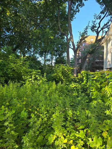 a backyard of a house with lots of green space