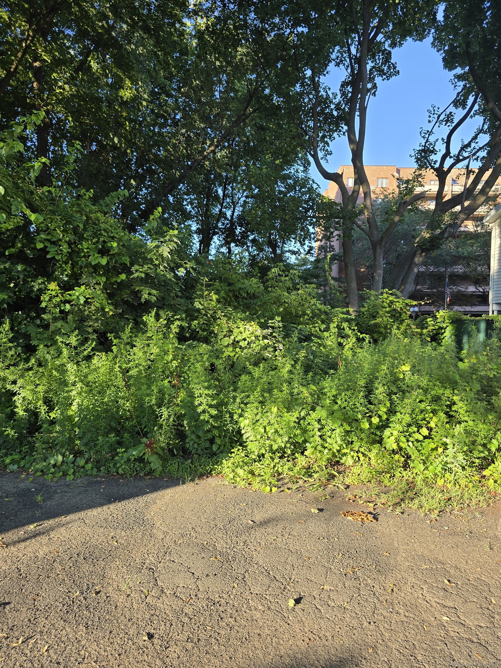63 A Main Street Danbury, CT 06810 - Photo 4 of 10 a backyard of a house with lots of green space