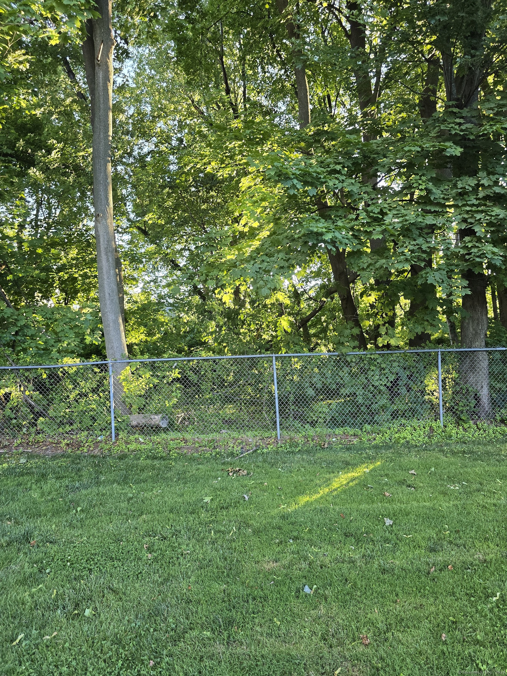 63 A Main Street Danbury, CT 06810 - Photo 5 of 10 a backyard of a house with lots of green space