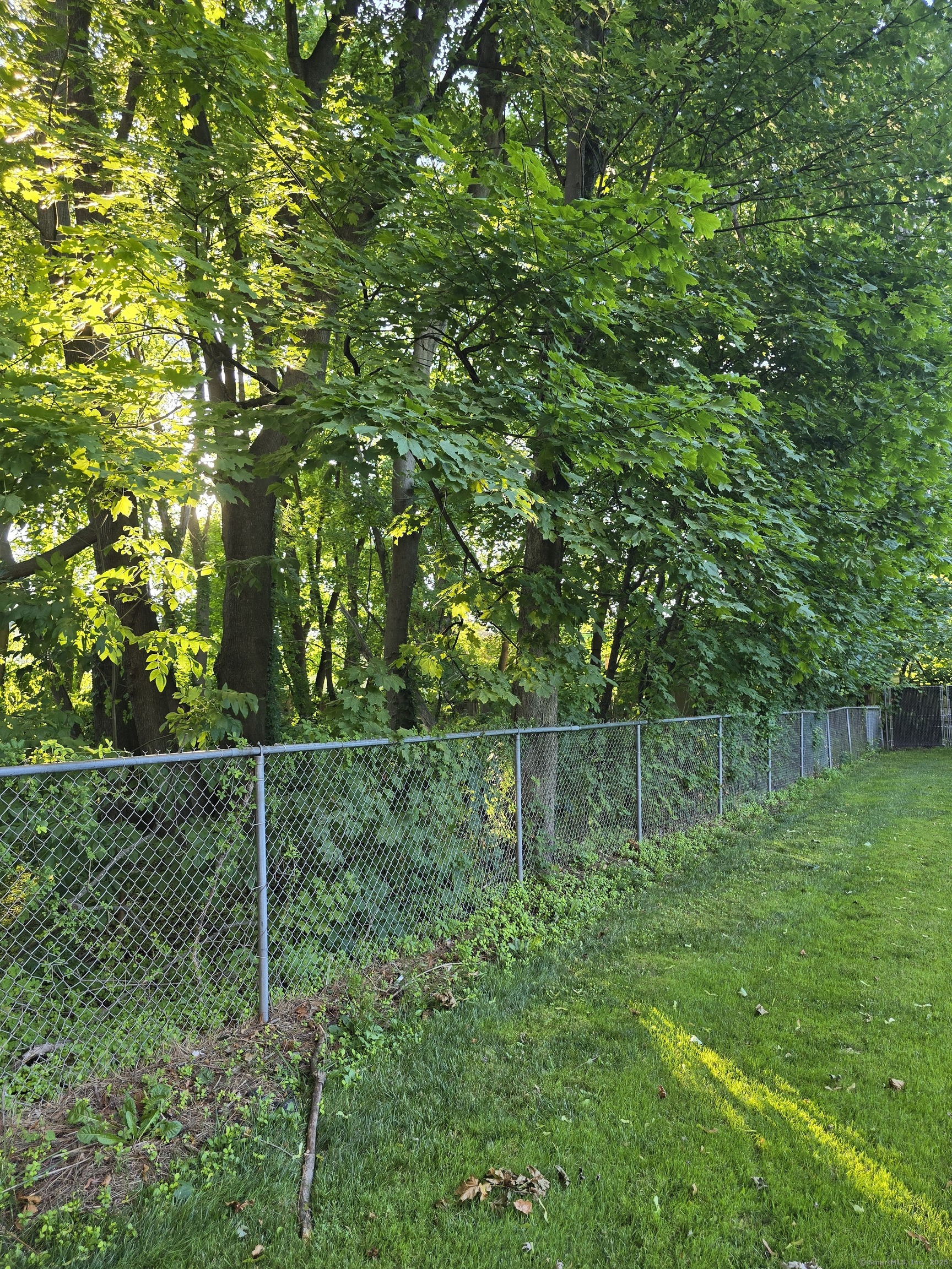 63 A Main Street Danbury, CT 06810 - Photo 6 of 10 a view of a backyard