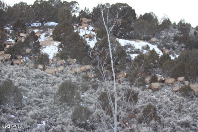 1168 Hernage Creek Road Eagle, CO 81631 - Photo 22 of 22 a view of mountain view with lots of trees