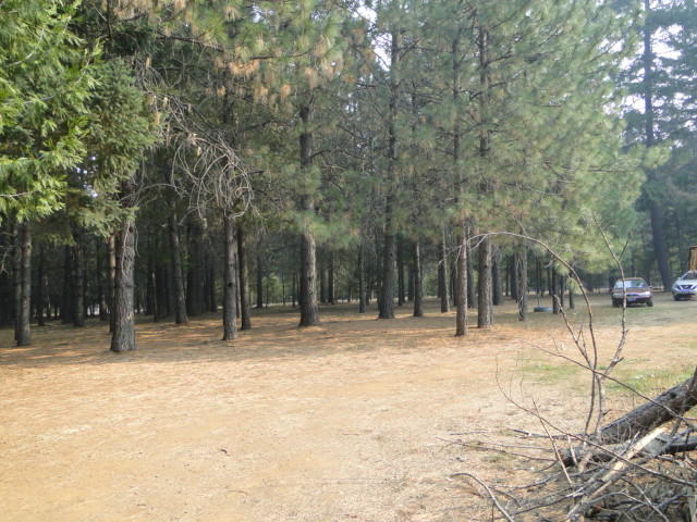 4395 Dick George Road Cave Junction, OR 97523 - Photo 30 of 40 Property view. Well maintained.