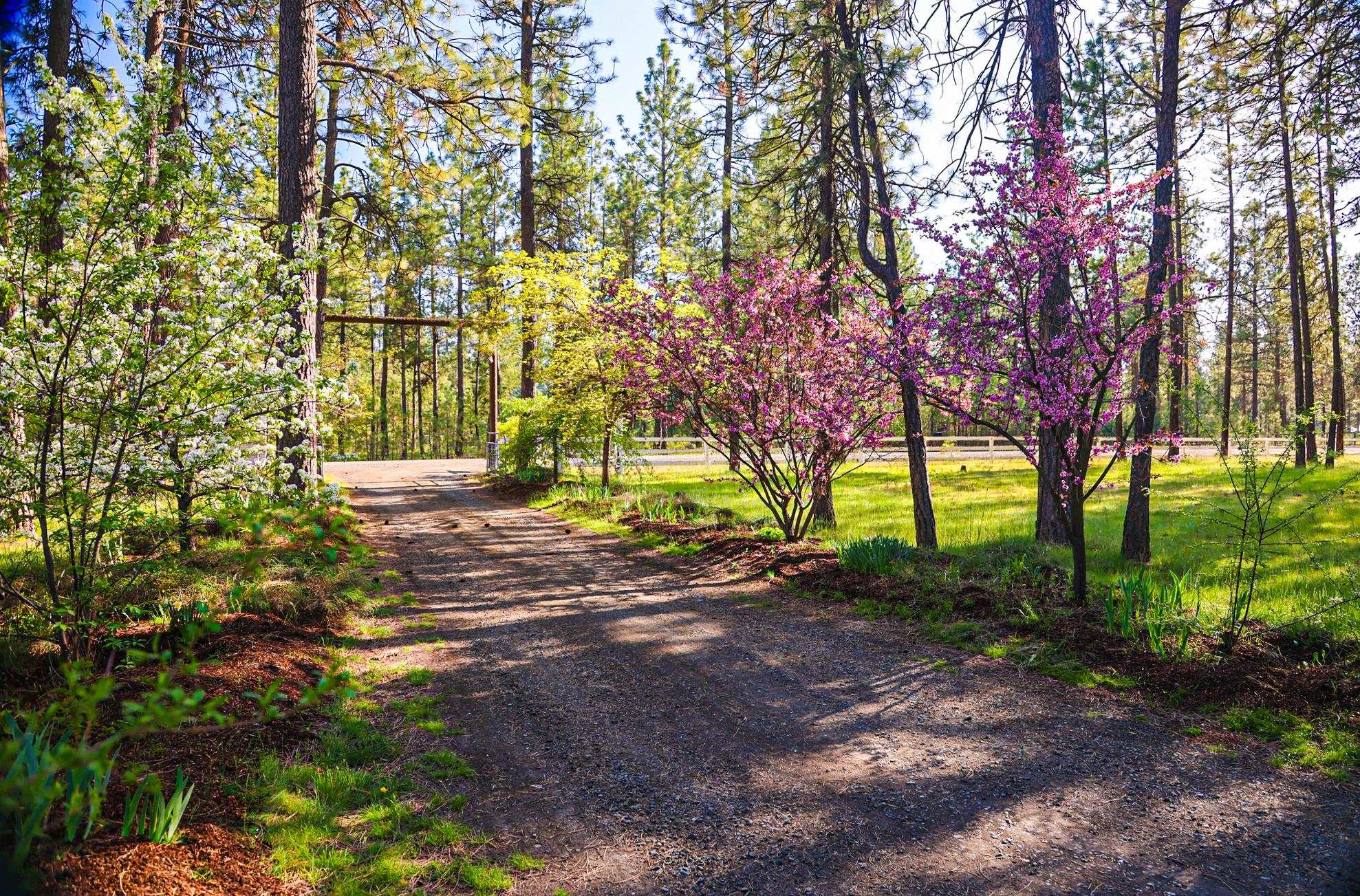 7110 West Melville Road Cheney, WA 99004 - Photo 47 of 50