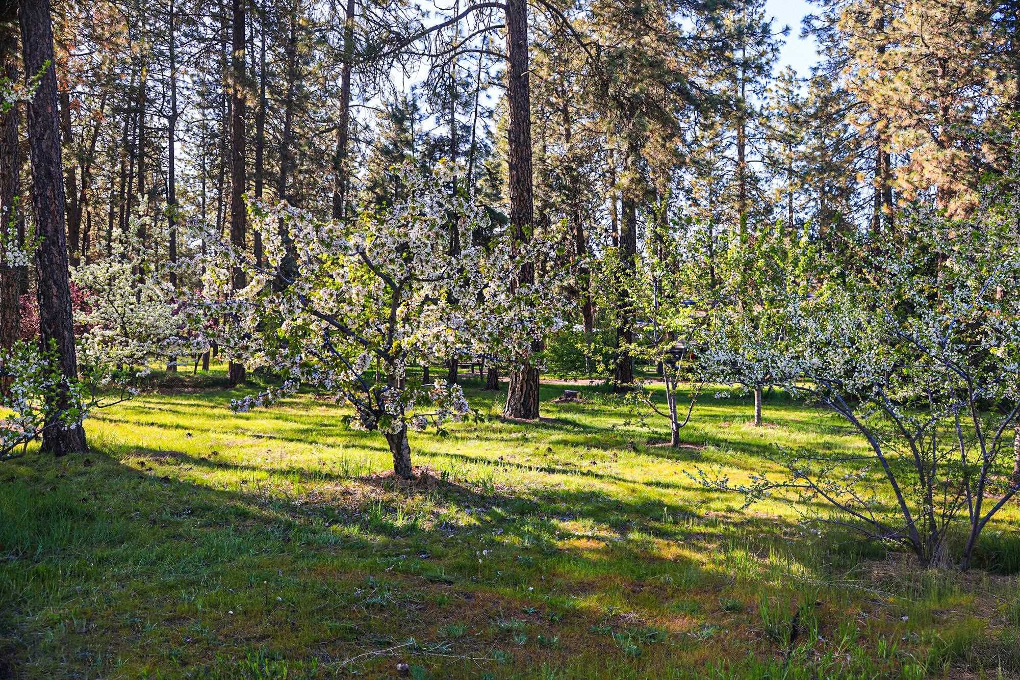7110 West Melville Road Cheney, WA 99004 - Photo 48 of 50