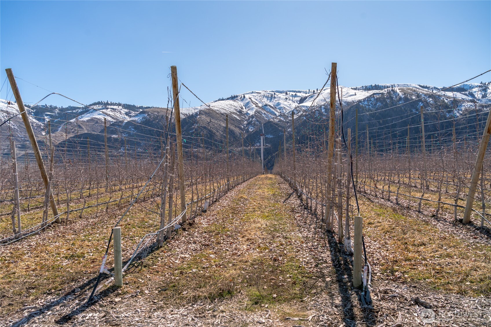 15 Chelan Butte Road Chelan, WA 98816 - Photo 20 of 31 a view of a glass door