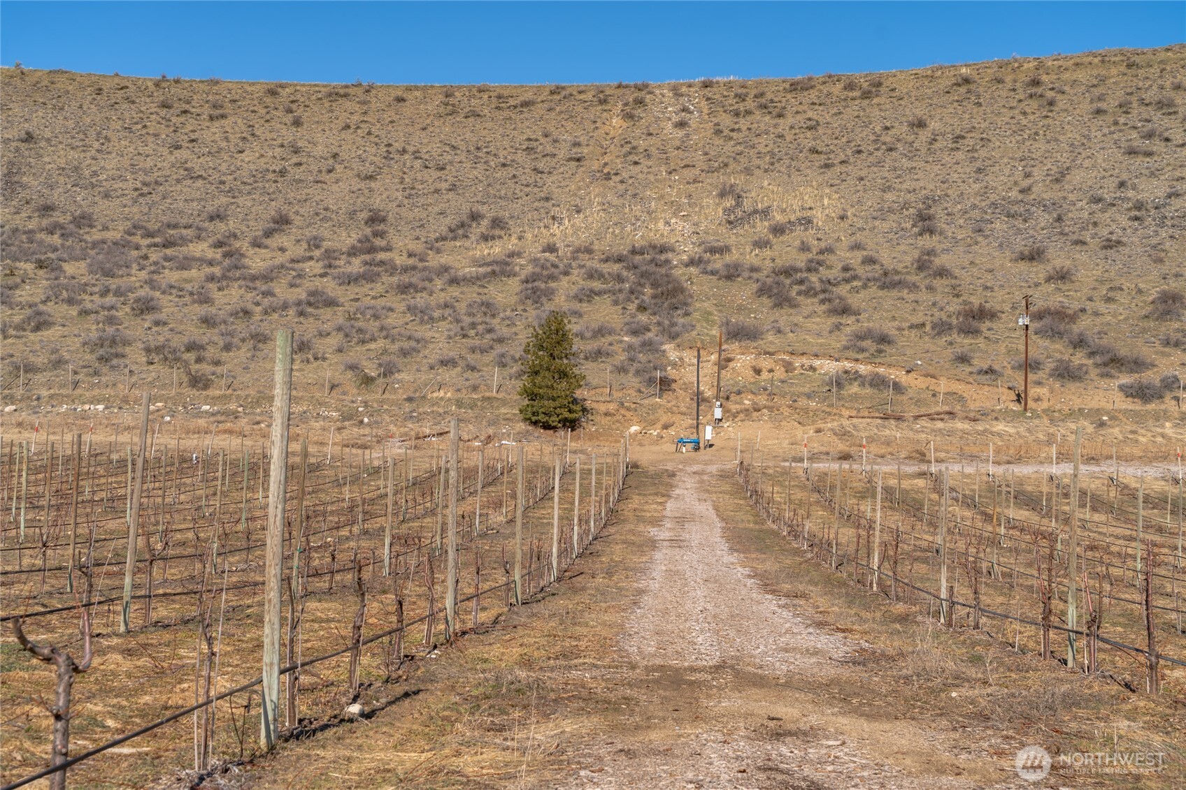 15 Chelan Butte Road Chelan, WA 98816 - Photo 21 of 31 a view of a dry yard with mountain view