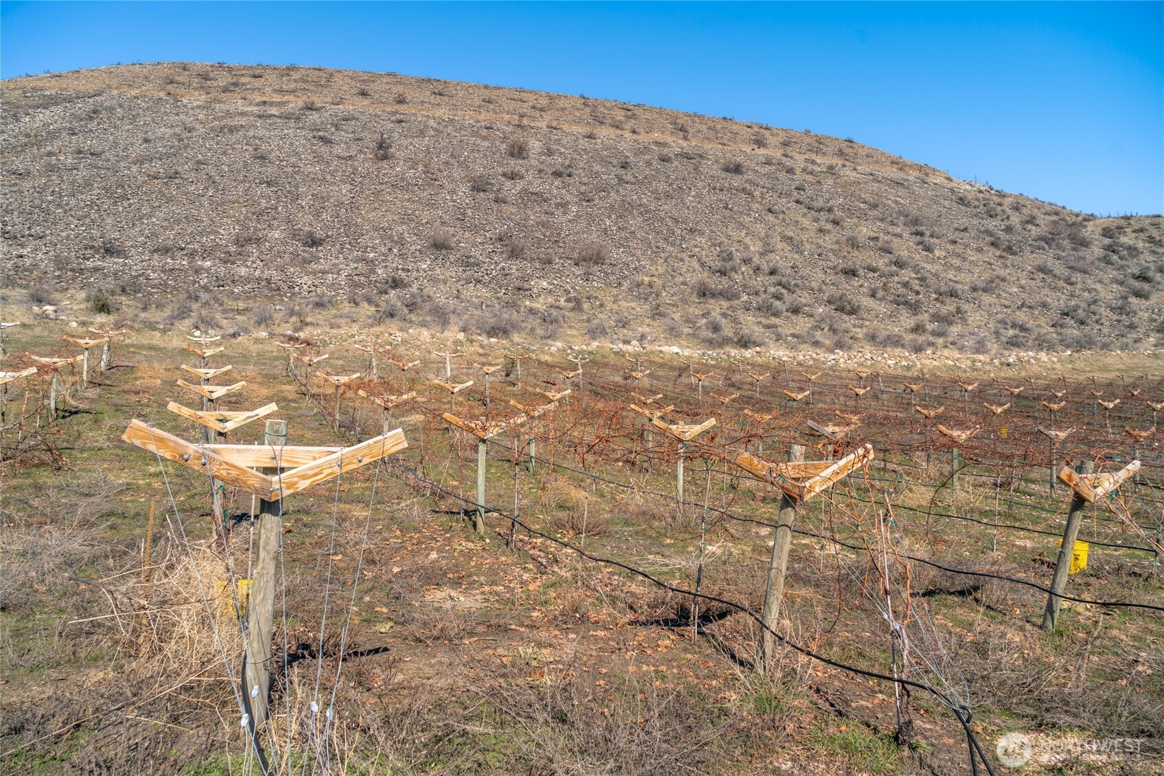 15 Chelan Butte Road Chelan, WA 98816 - Photo 26 of 31 a view of a dry yard