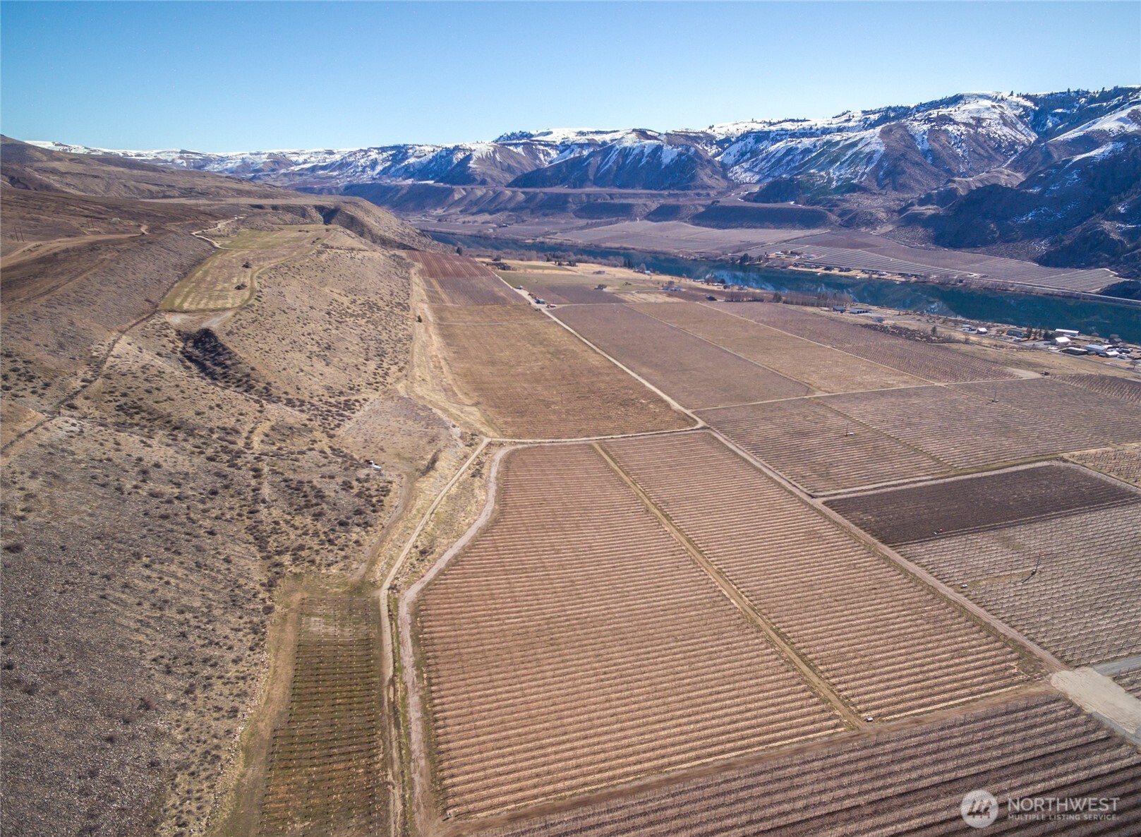 15 Chelan Butte Road Chelan, WA 98816 - Photo 8 of 31 a view of a dry yard
