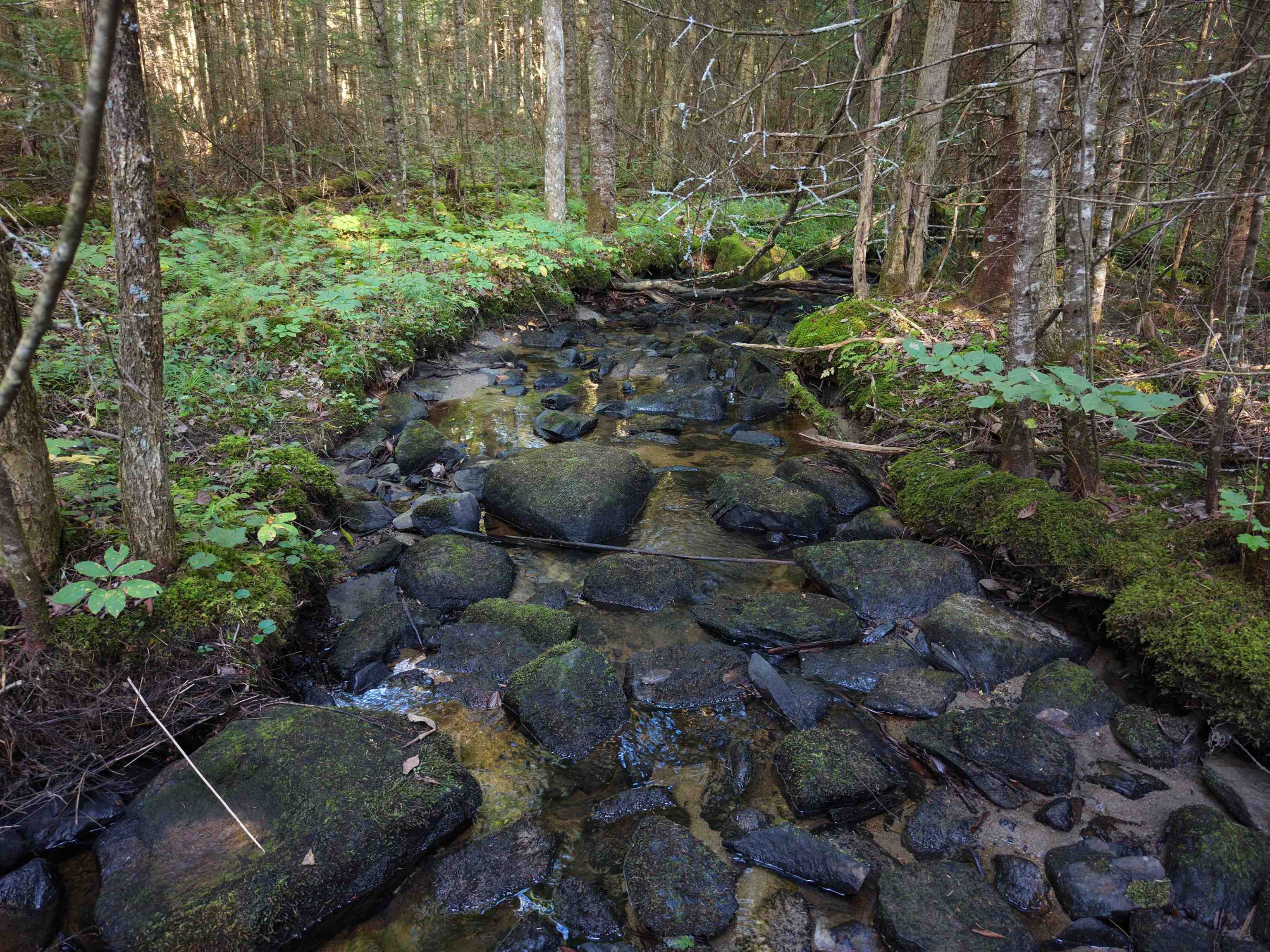 1010 Fellows Road Guildhall, VT 05905 - Photo 12 of 27 Gallery Image 12