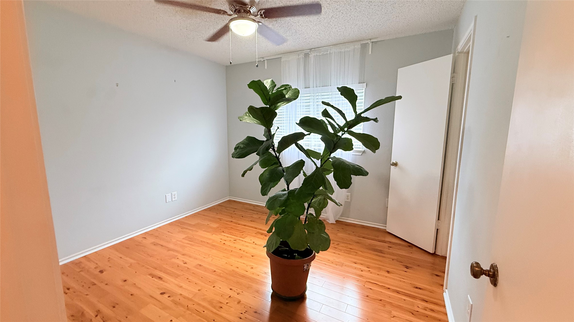 3324 Perch Trail Round Rock, TX 78665 - Photo 22 of 29 a view of a flower in a vase with a plant