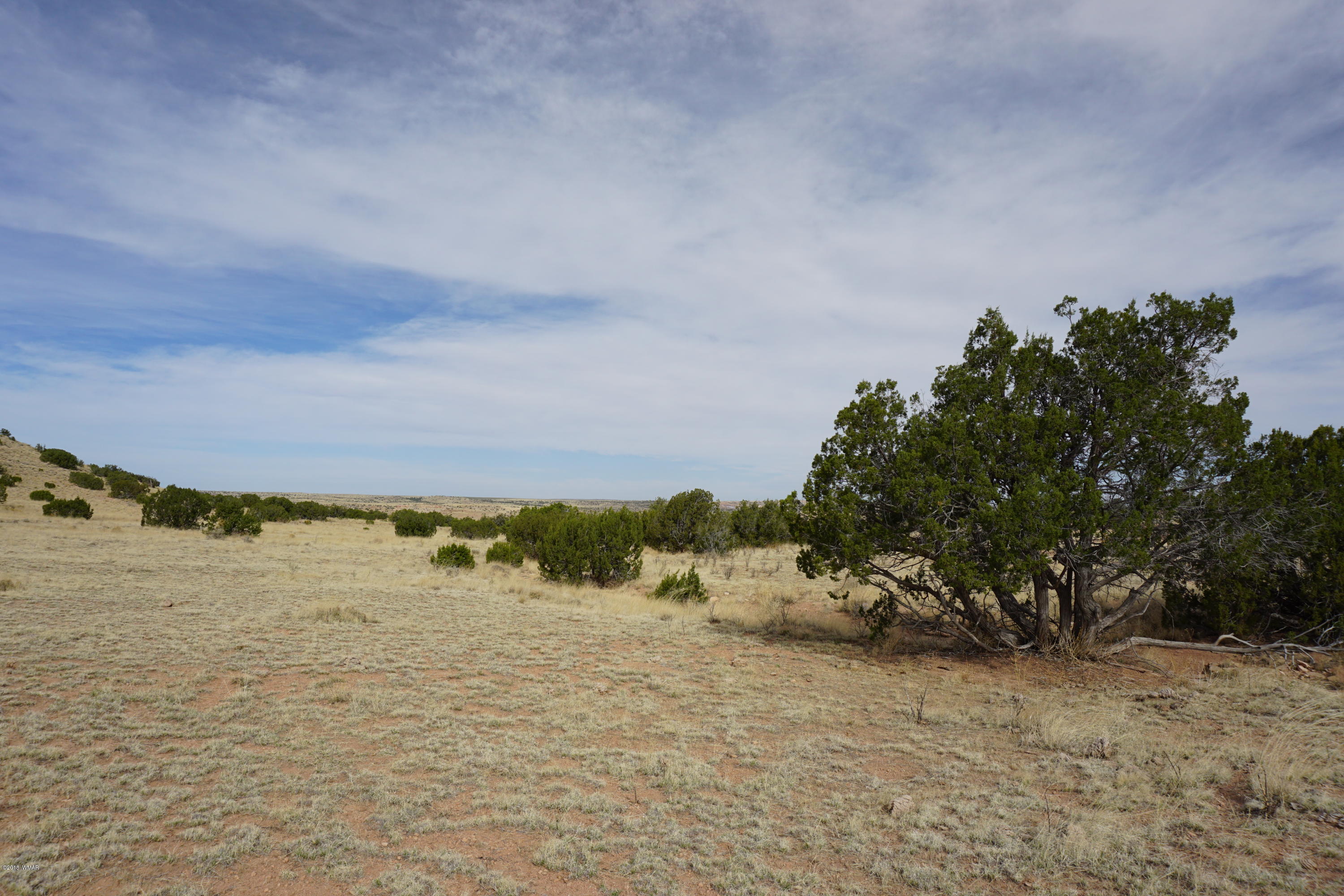 Lot 123 River Springs Ranch St. Johns, AZ 85936 - Photo 11 of 23