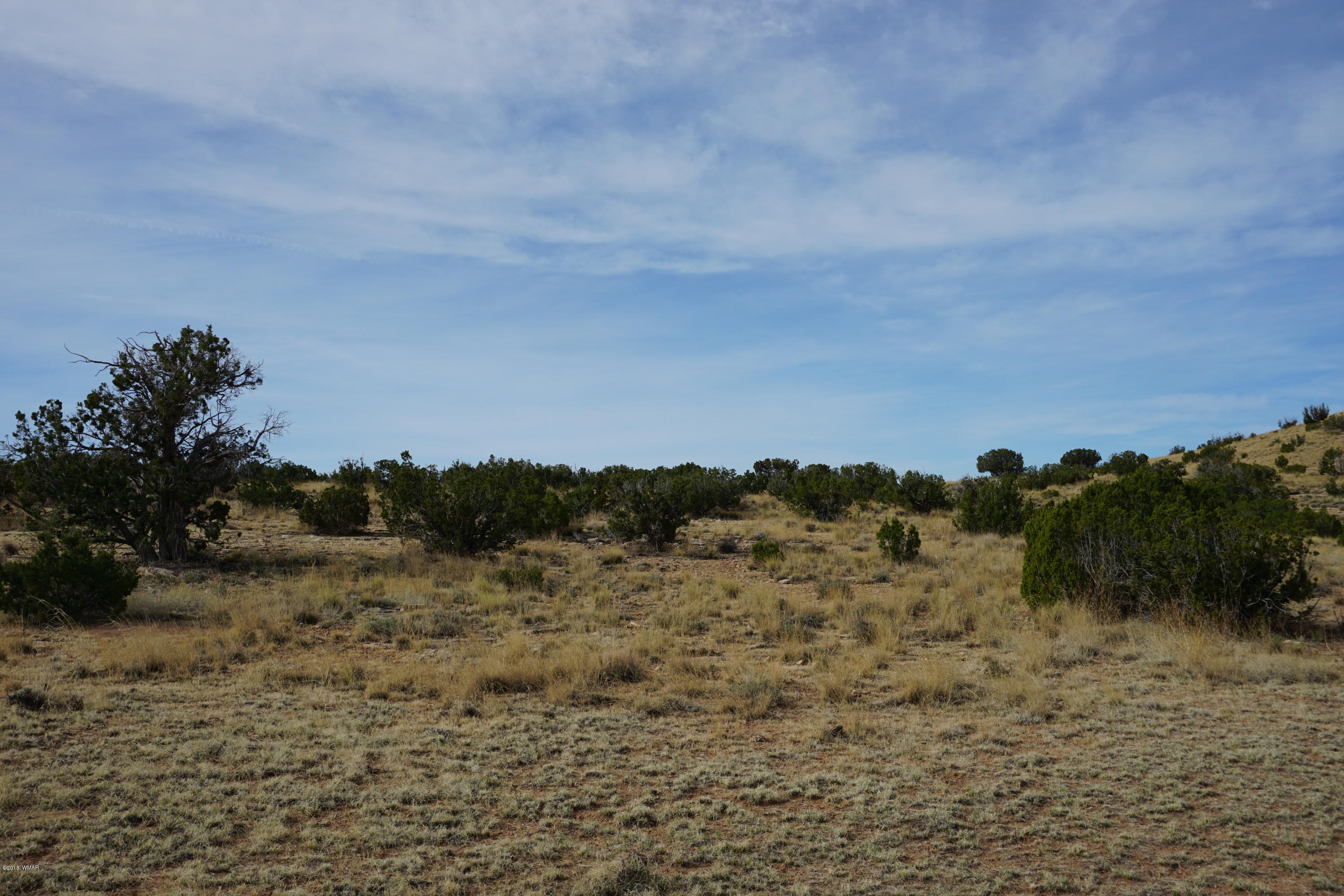 Lot 123 River Springs Ranch St. Johns, AZ 85936 - Photo 12 of 23