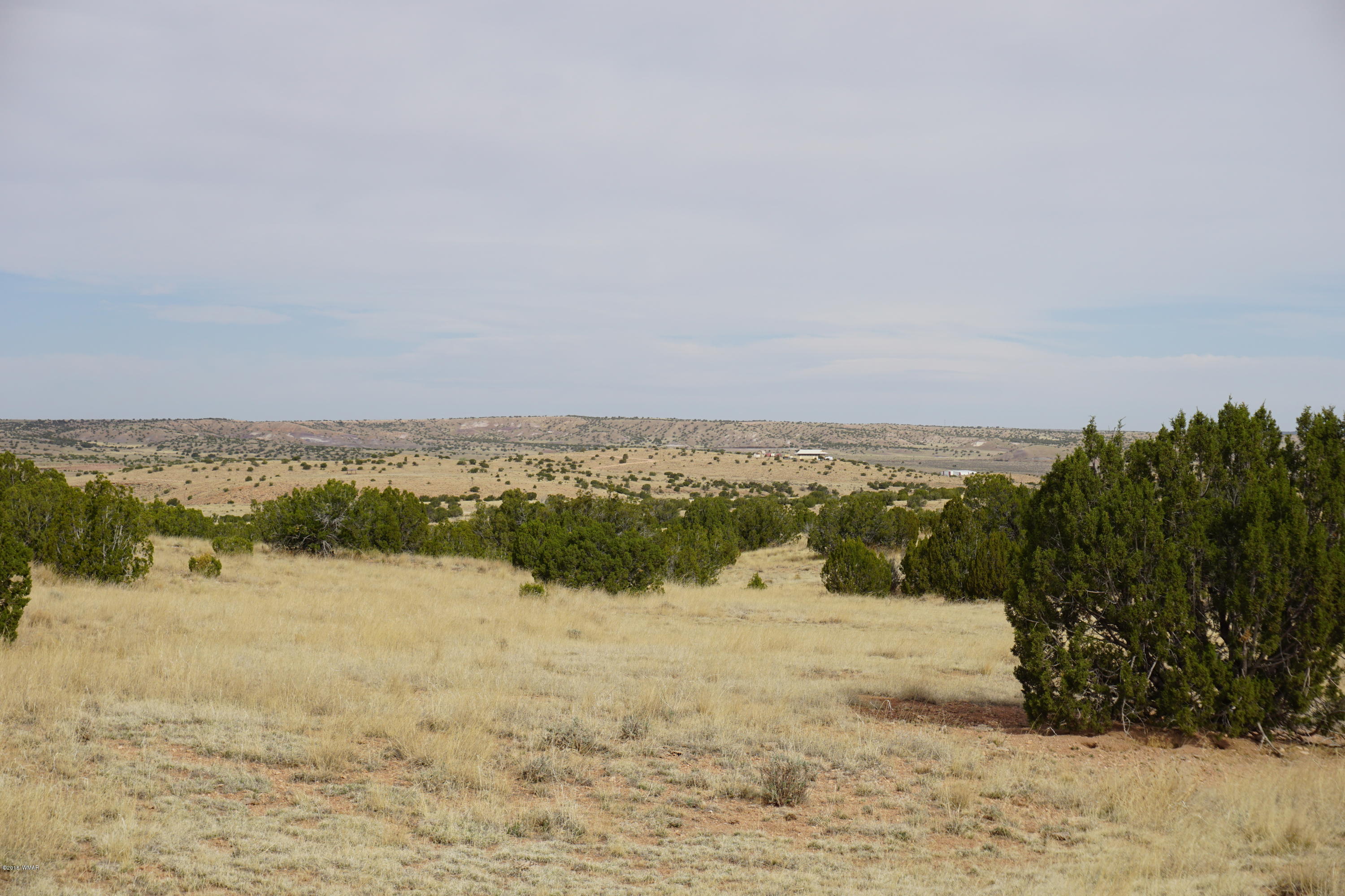 Lot 123 River Springs Ranch St. Johns, AZ 85936 - Photo 13 of 23