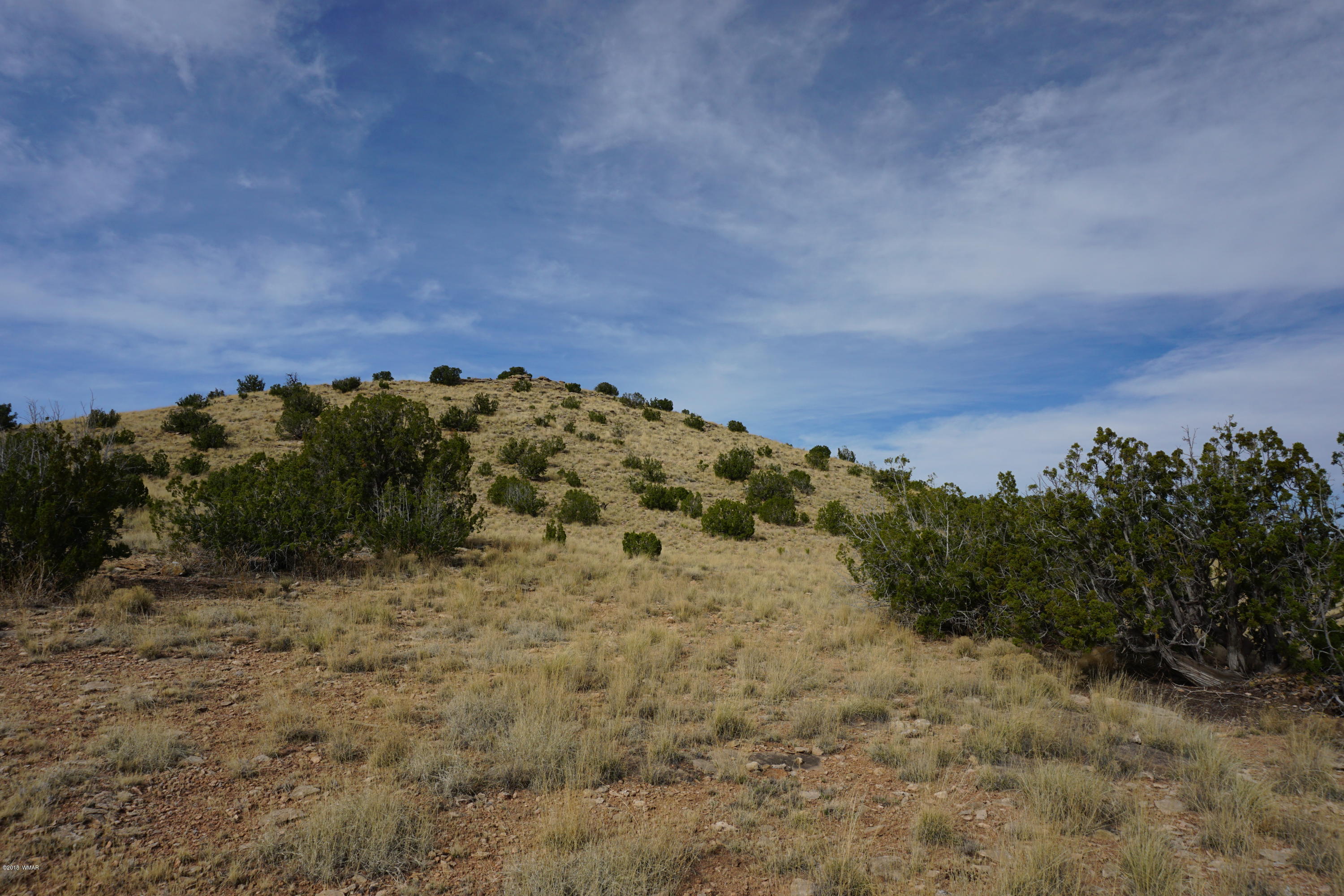 Lot 123 River Springs Ranch St. Johns, AZ 85936 - Photo 14 of 23