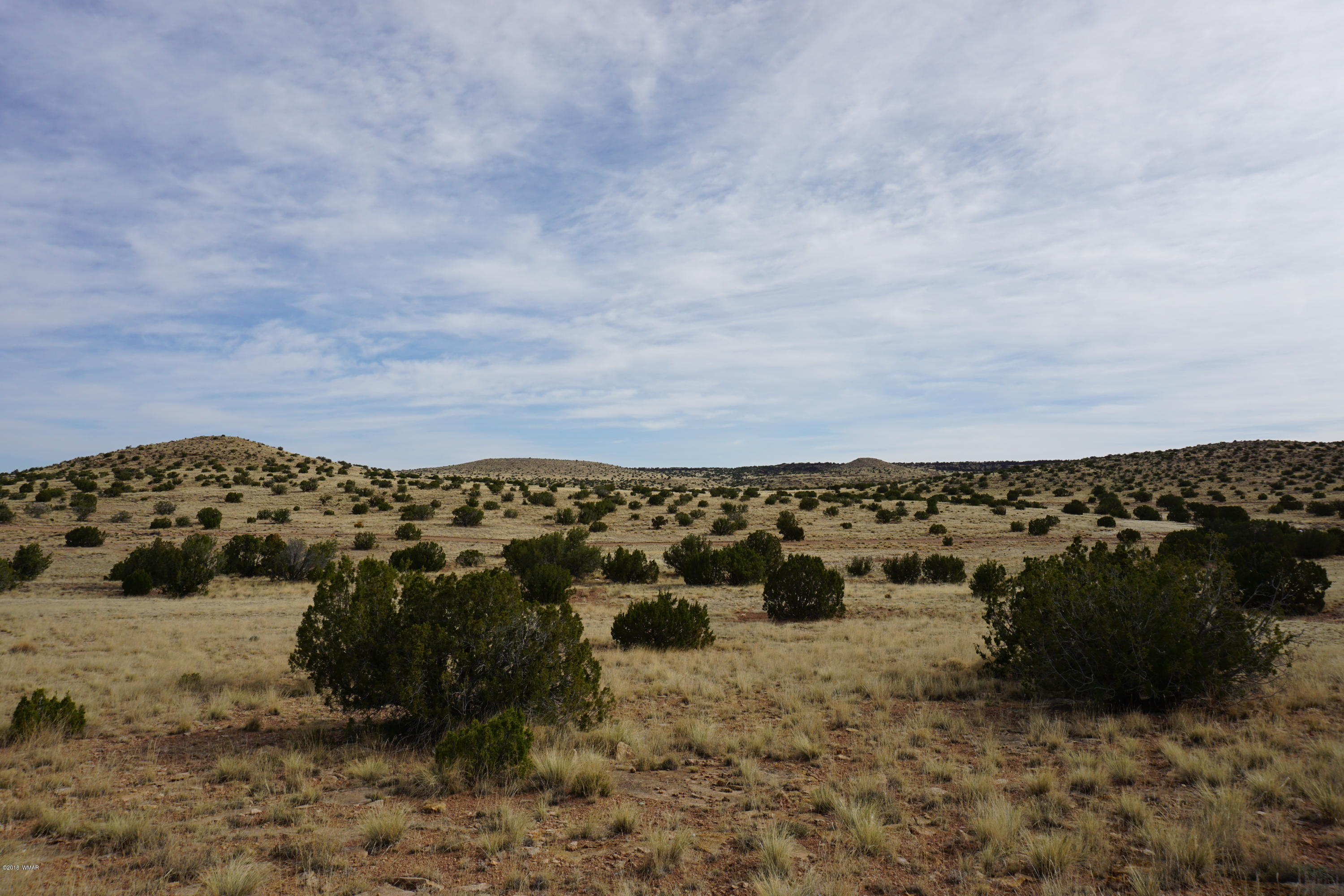 Lot 123 River Springs Ranch St. Johns, AZ 85936 - Photo 15 of 23