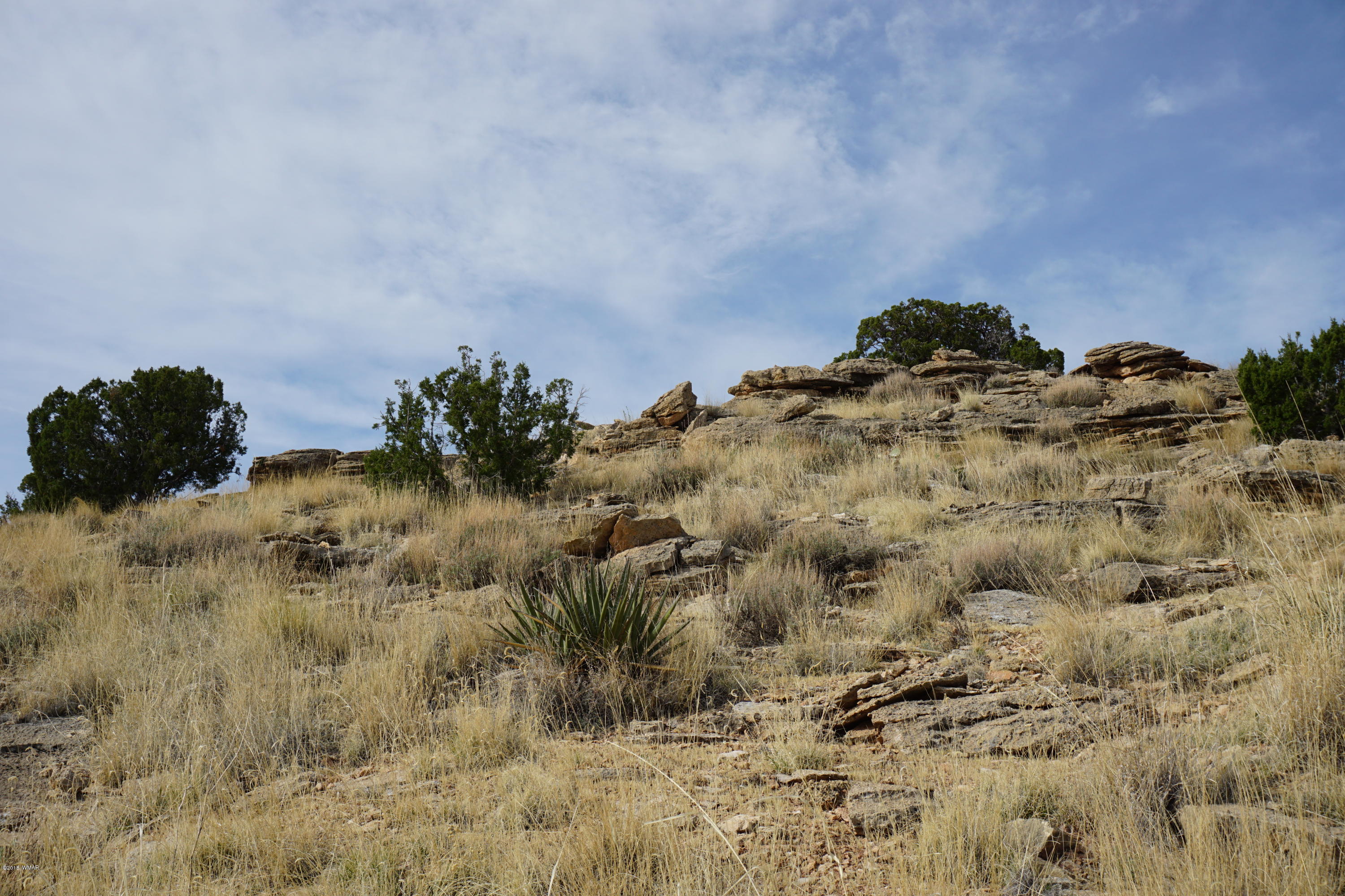 Lot 123 River Springs Ranch St. Johns, AZ 85936 - Photo 16 of 23