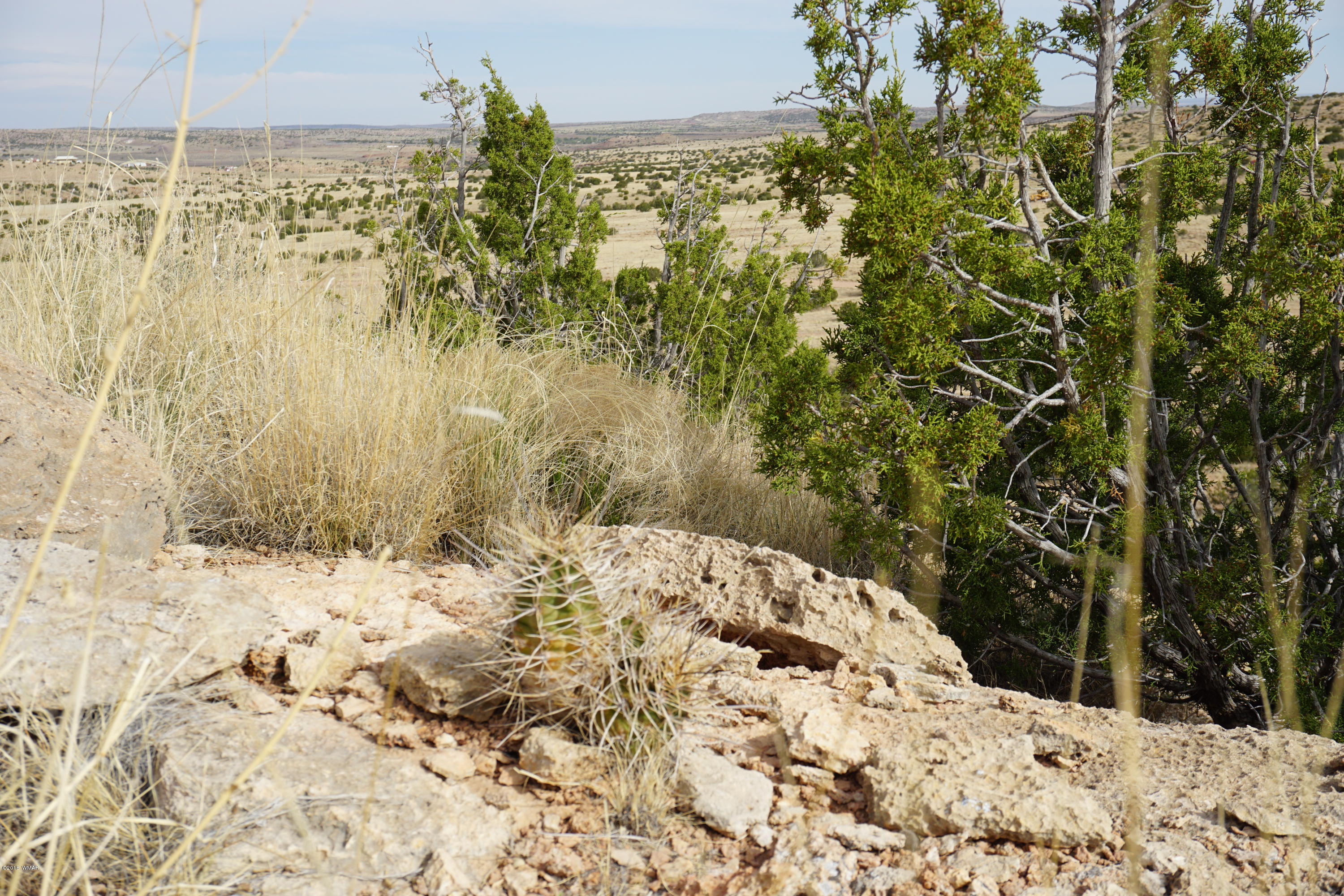 Lot 123 River Springs Ranch St. Johns, AZ 85936 - Photo 17 of 23
