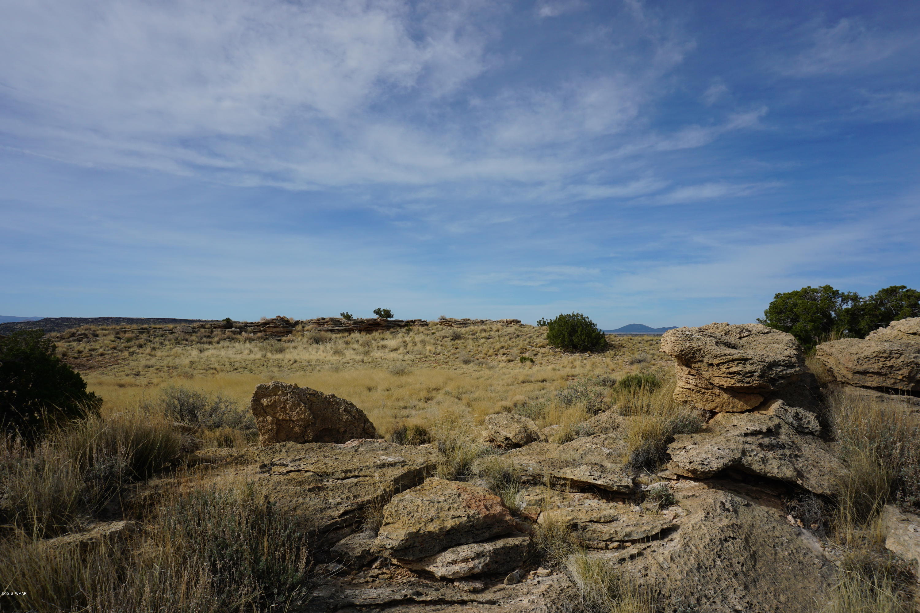 Lot 123 River Springs Ranch St. Johns, AZ 85936 - Photo 18 of 23