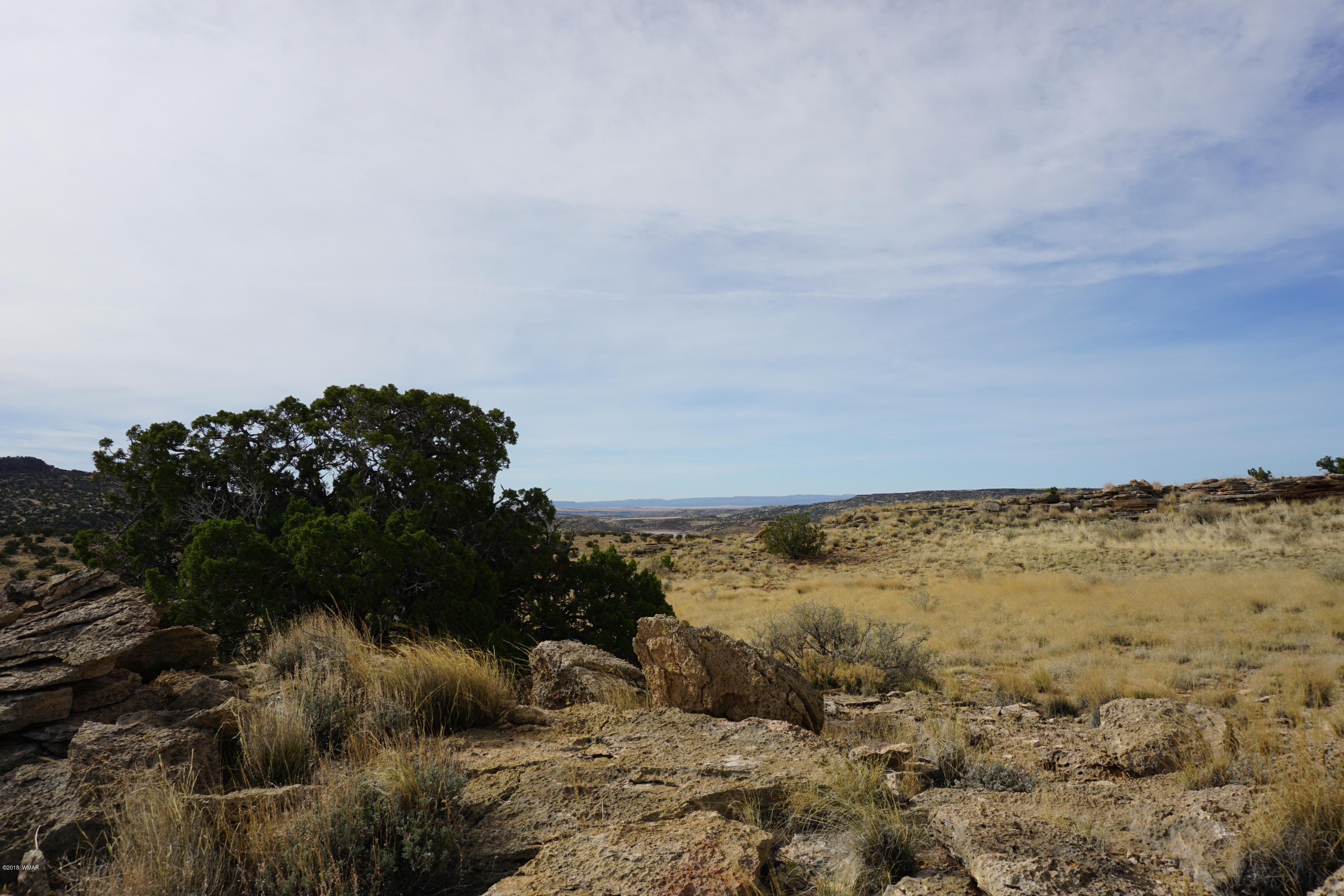 Lot 123 River Springs Ranch St. Johns, AZ 85936 - Photo 19 of 23
