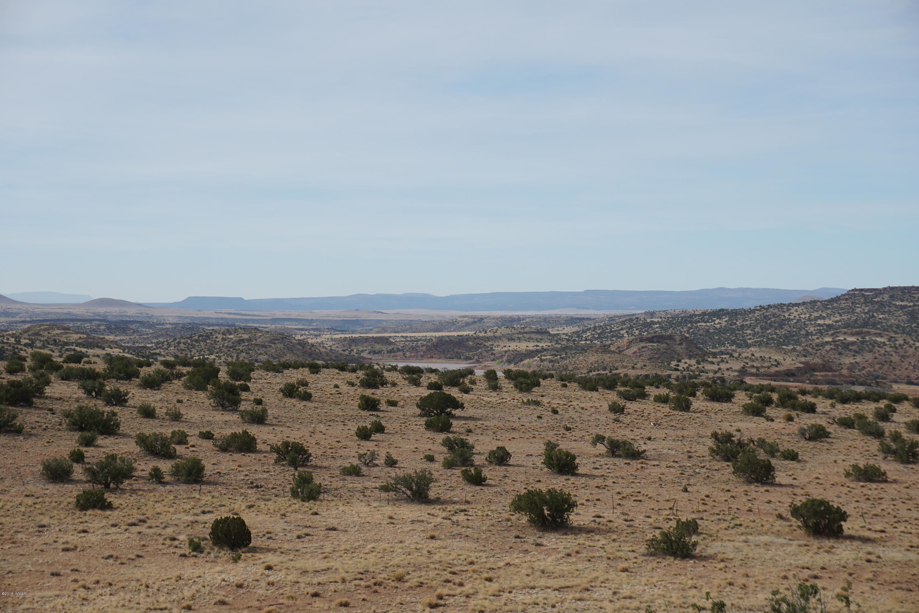 Lot 123 River Springs Ranch St. Johns, AZ 85936 - Photo 20 of 23