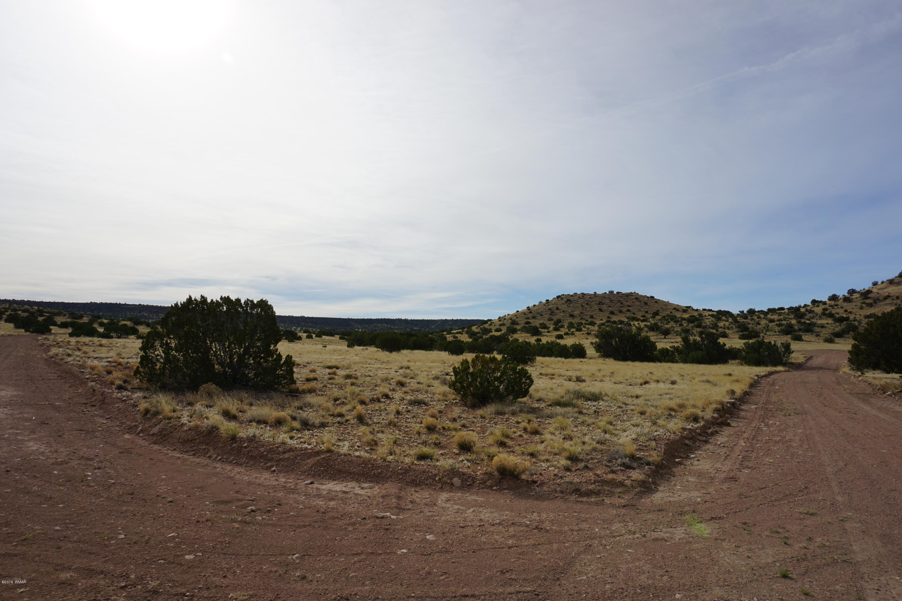 Lot 123 River Springs Ranch St. Johns, AZ 85936 - Photo 2 of 23
