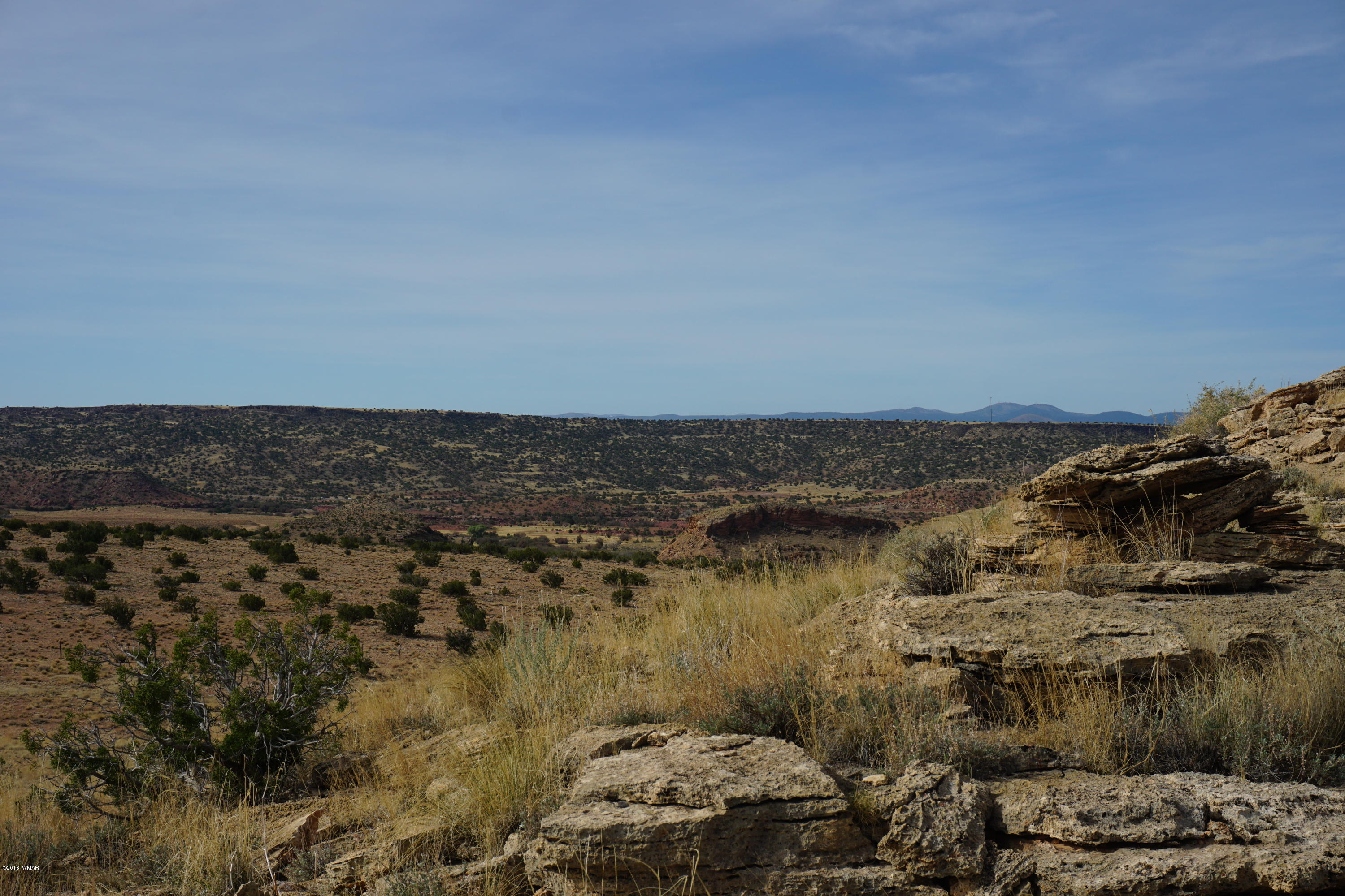 Lot 123 River Springs Ranch St. Johns, AZ 85936 - Photo 21 of 23