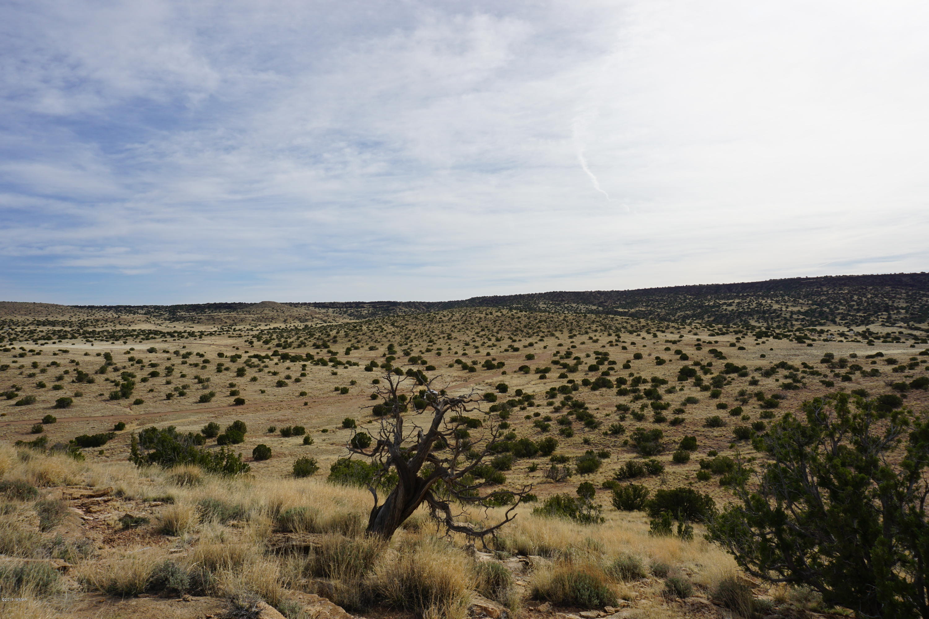 Lot 123 River Springs Ranch St. Johns, AZ 85936 - Photo 22 of 23