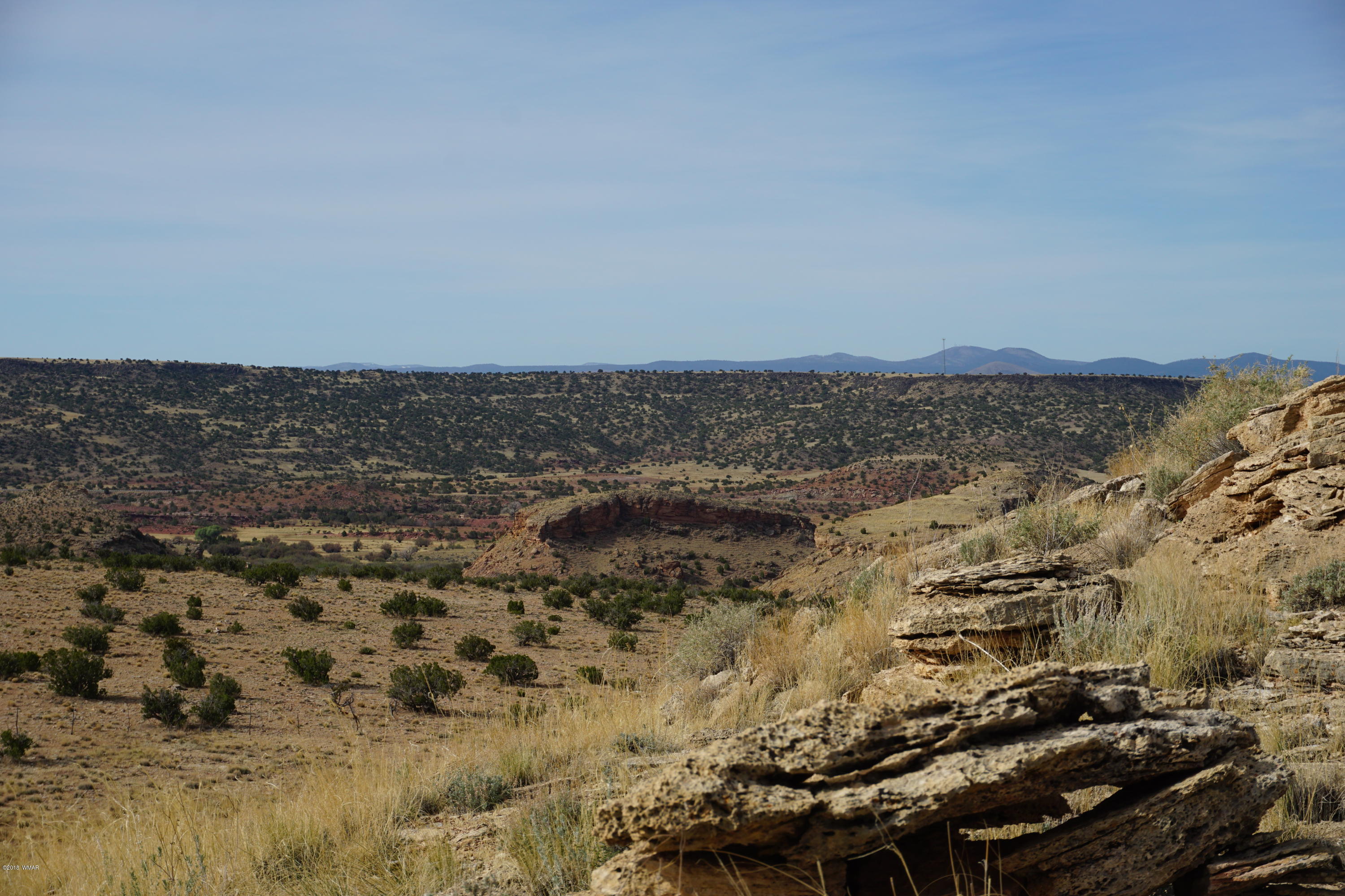 Lot 123 River Springs Ranch St. Johns, AZ 85936 - Photo 23 of 23