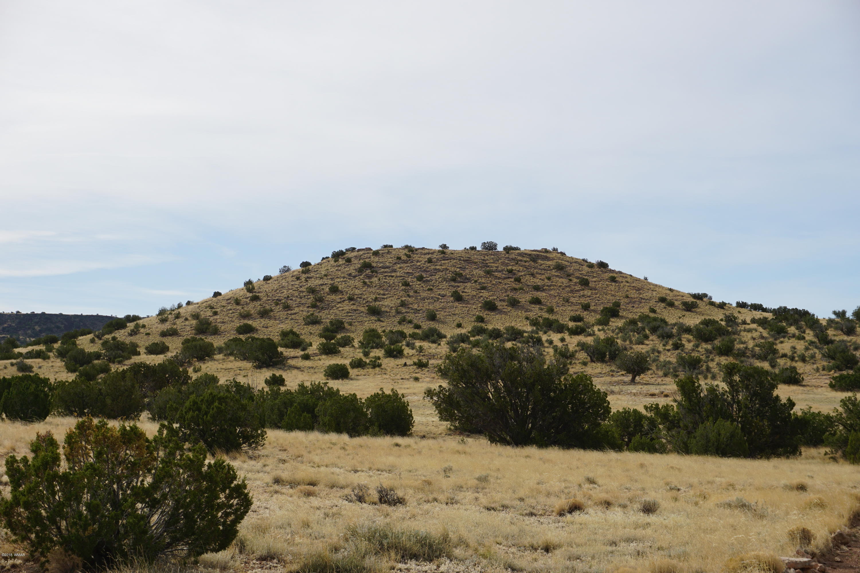 Lot 123 River Springs Ranch St. Johns, AZ 85936 - Photo 3 of 23