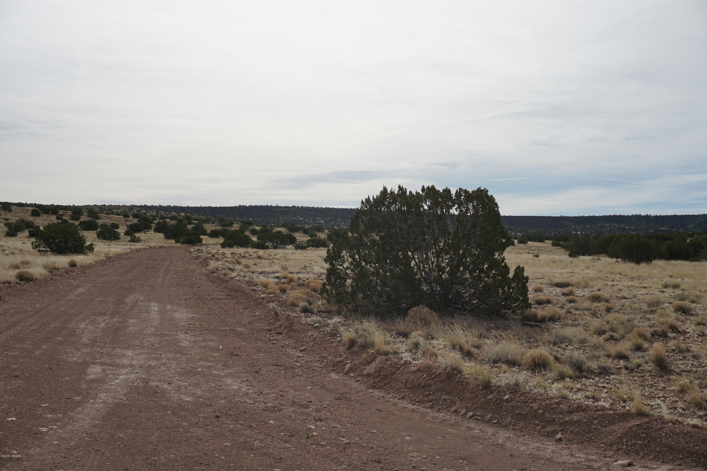 Lot 123 River Springs Ranch St. Johns, AZ 85936 - Photo 4 of 23