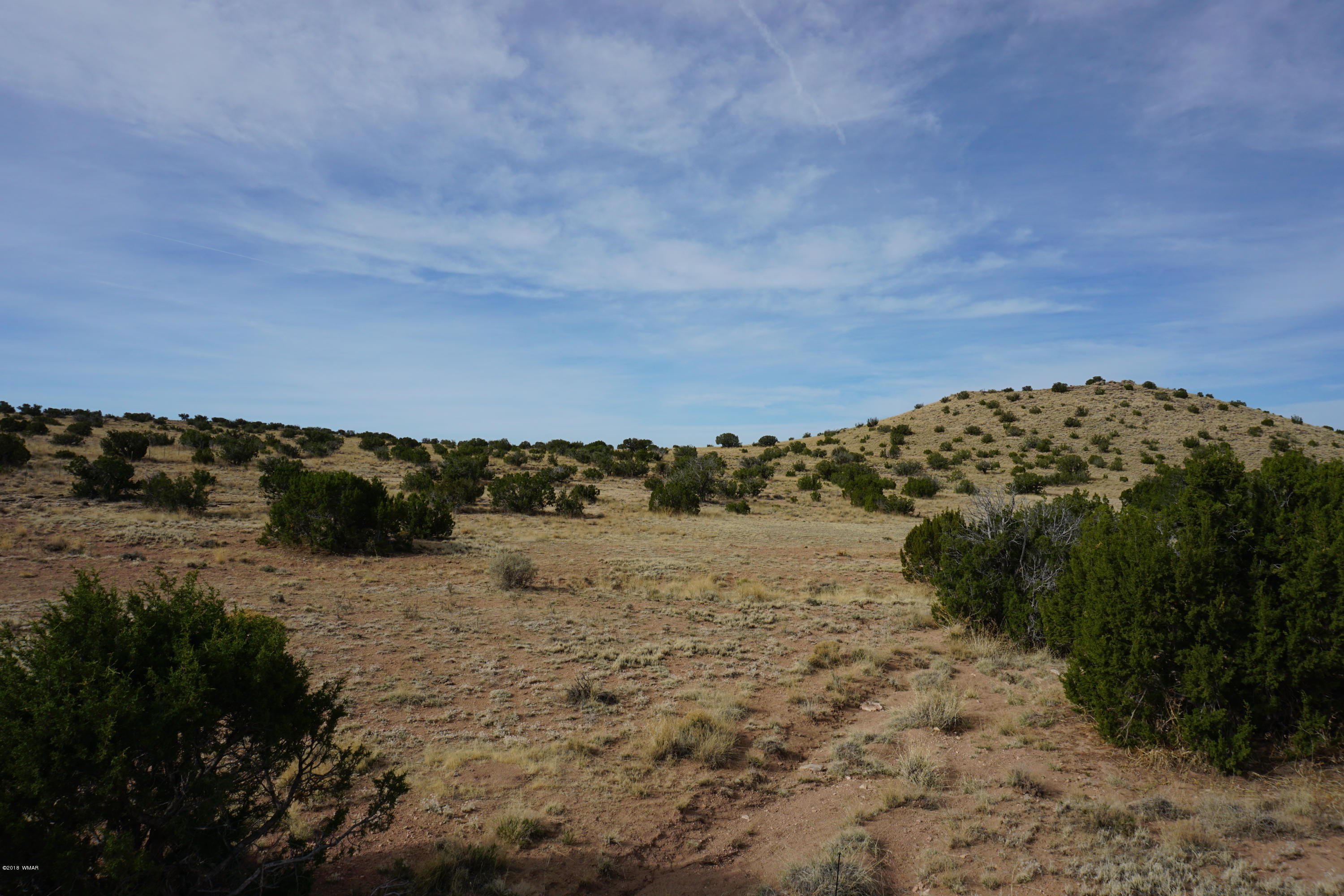 Lot 123 River Springs Ranch St. Johns, AZ 85936 - Photo 5 of 23